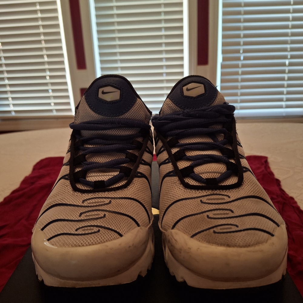 Nike Men's Blue and White Athletic Shoes